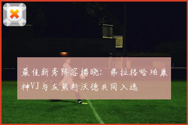 最佳新秀阵容揭晓：弗拉格哈珀康神VJ与灰熊科沃德共同入选