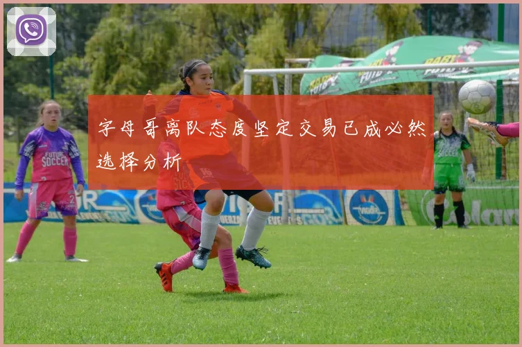 字母哥离队态度坚定交易已成必然选择分析